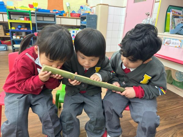 自由遊戲(1)